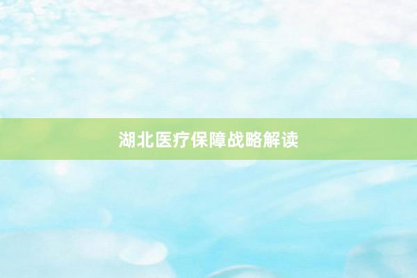 湖北医疗保障战略解读