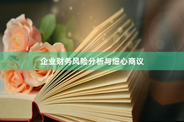 企业财务风险分析与细心商议